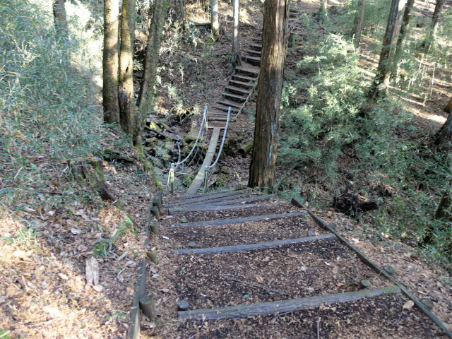 位牌岳（池ノ平コース）登山口コースガイド 木橋【登山口ナビ】