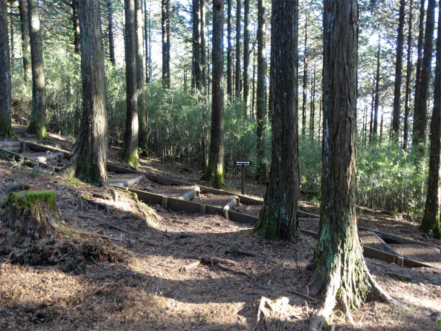 位牌岳（池ノ平コース）登山口コースガイド 直登ルート合流【登山口ナビ】