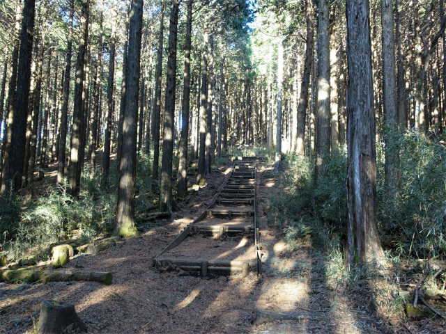位牌岳（池ノ平コース）登山口コースガイド 階段【登山口ナビ】