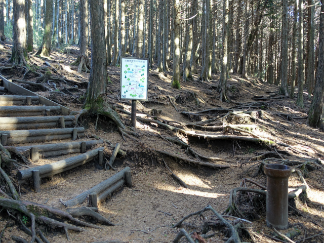 位牌岳（池ノ平コース）登山口コースガイド 散策路分岐【登山口ナビ】