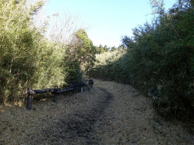 位牌岳（池ノ平コース）登山口コースガイド 笹薮の緩斜面【登山口ナビ】