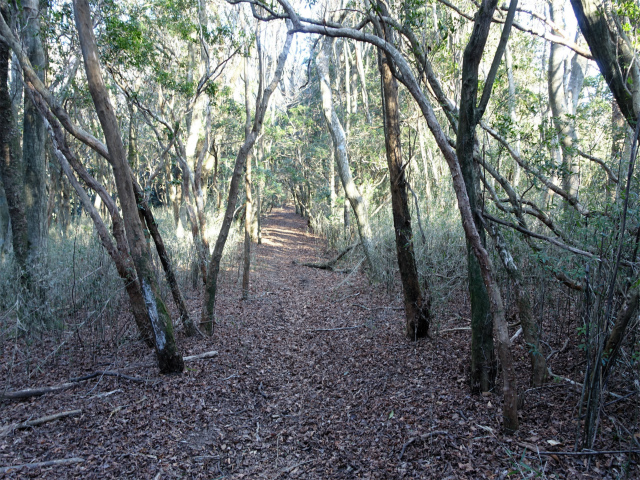 位牌岳（池ノ平コース）登山口コースガイド 池ノ平鞍部【登山口ナビ】