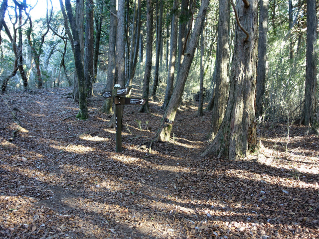 位牌岳（池ノ平コース）登山口コースガイド つるべ落としの滝分岐【登山口ナビ】