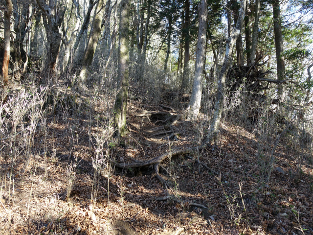 位牌岳（池ノ平コース）登山口コースガイド 急斜面【登山口ナビ】