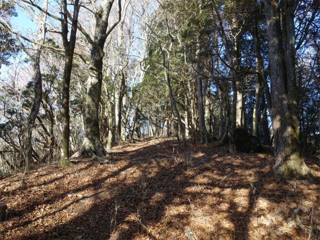 位牌岳（池ノ平コース）登山口コースガイド 1032mピーク【登山口ナビ】