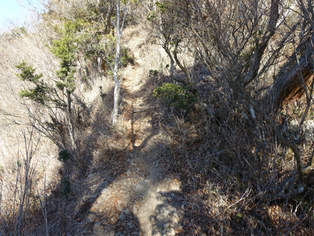 位牌岳（池ノ平コース）登山口コースガイド 痩せ尾根【登山口ナビ】