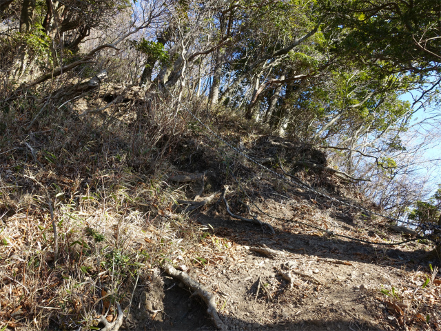 位牌岳（池ノ平コース）登山口コースガイド ロープの急登【登山口ナビ】