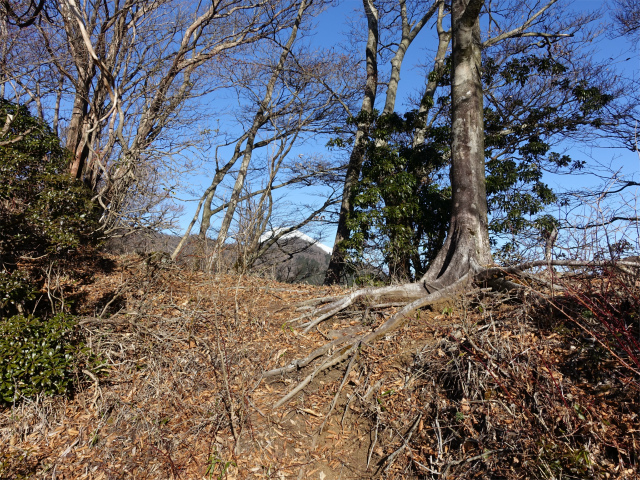 位牌岳（池ノ平コース）登山口コースガイド 葛山分岐【登山口ナビ】