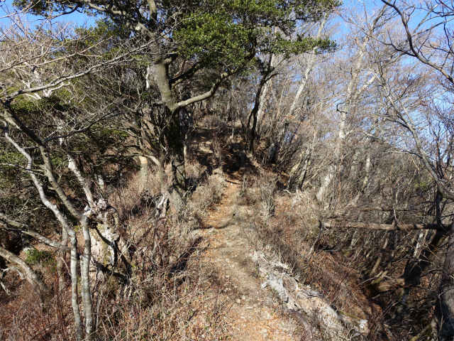 位牌岳（池ノ平コース）登山口コースガイド 痩せ尾根【登山口ナビ】