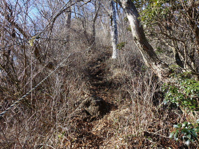位牌岳（池ノ平コース）登山口コースガイド ロープ【登山口ナビ】