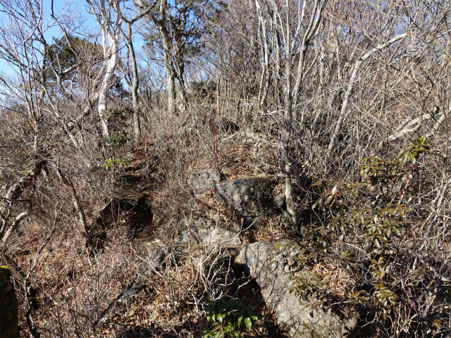 位牌岳（池ノ平コース）登山口コースガイド 露岩【登山口ナビ】