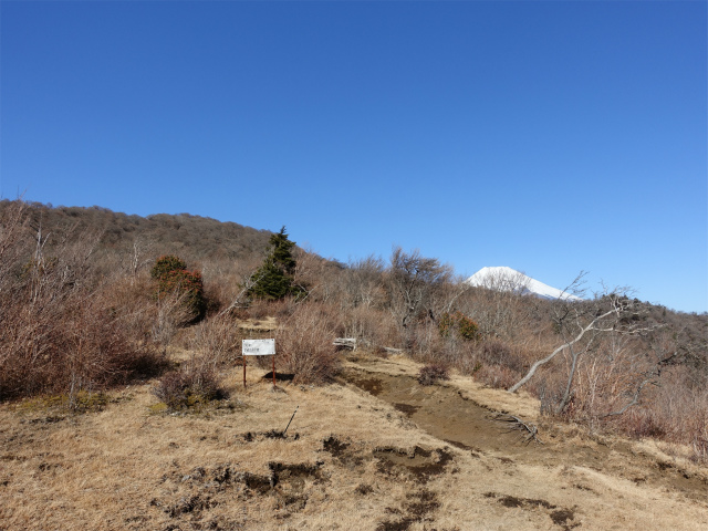 位牌岳（池ノ平コース）登山口コースガイド ブナ観測木の平場【登山口ナビ】