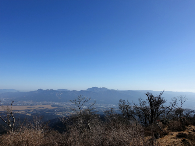 位牌岳（池ノ平コース）登山口コースガイド ブナ観測木の平場から箱根の眺望【登山口ナビ】