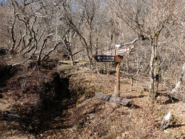 位牌岳（池ノ平コース）登山口コースガイド つるべ落としの滝分岐【登山口ナビ】