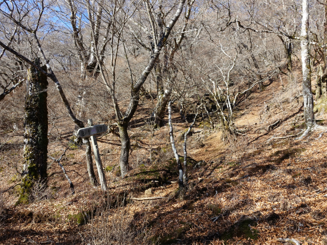 位牌岳（池ノ平コース）登山口コースガイド ガレ沢【登山口ナビ】