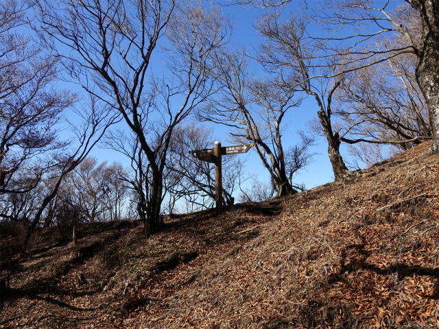 位牌岳（池ノ平コース）登山口コースガイド 袴腰岳分岐【登山口ナビ】