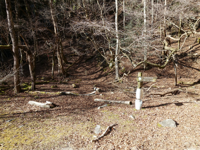 畦ヶ丸(西丹沢ビジターセンター~権現山)登山口コースガイド 作業道分岐【登山口ナビ】