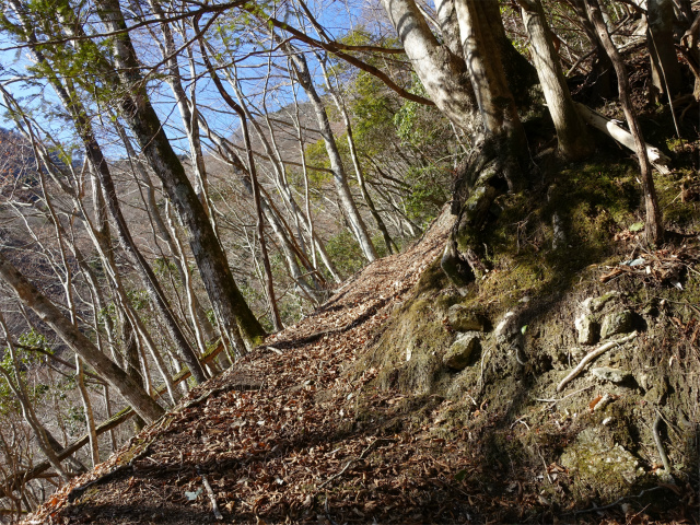 畦ヶ丸(西丹沢ビジターセンター~権現山)登山口コースガイド 折り返し【登山口ナビ】