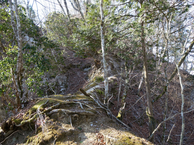 畦ヶ丸(西丹沢ビジターセンター~権現山)登山口コースガイド 痩せ尾根【登山口ナビ】