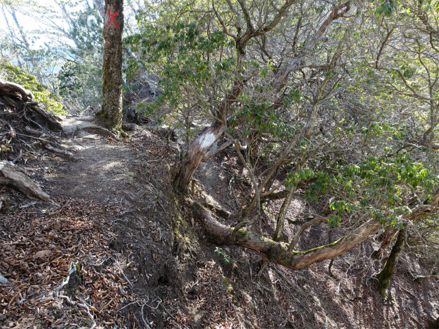 畦ヶ丸(西丹沢ビジターセンター~権現山)登山口コースガイド キレット【登山口ナビ】