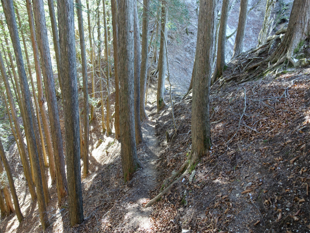 畦ヶ丸(西丹沢ビジターセンター~権現山)登山口コースガイド 鞍部【登山口ナビ】