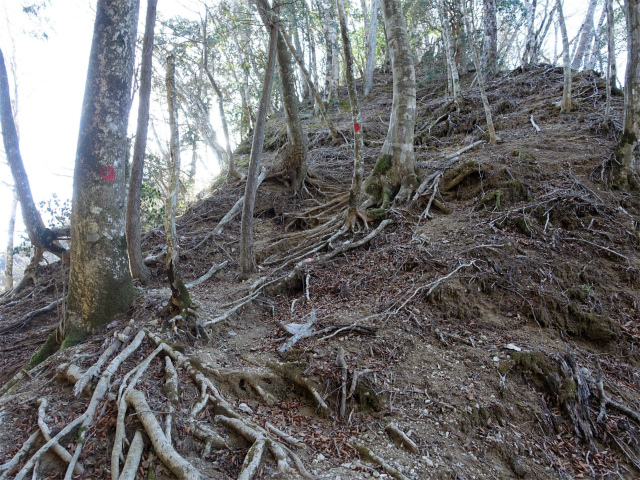 畦ヶ丸(西丹沢ビジターセンター~権現山)登山口コースガイド 急登【登山口ナビ】