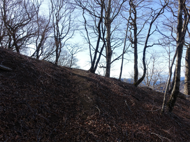 畦ヶ丸(西丹沢ビジターセンター~権現山)登山口コースガイド 権現山手前【登山口ナビ】