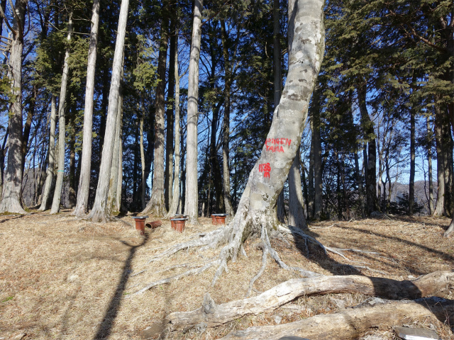 畦ヶ丸(西丹沢ビジターセンター~権現山)登山口コースガイド 箒沢権現山山頂【登山口ナビ】