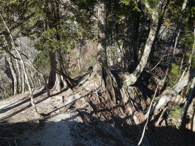 畦ヶ丸(西丹沢ビジターセンター~権現山)登山口コースガイド アップダウン【登山口ナビ】