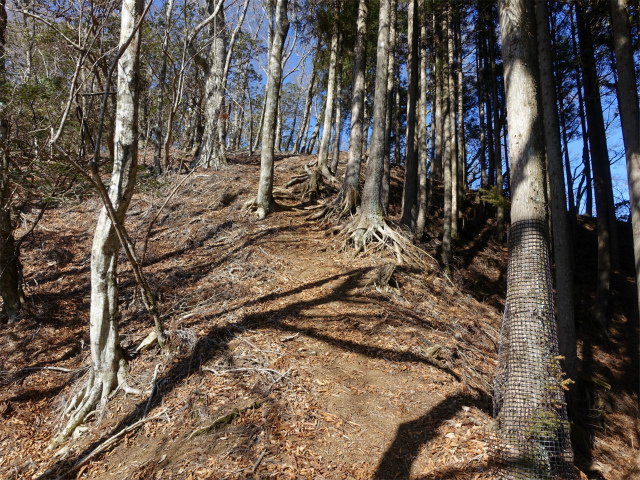 畦ヶ丸(西丹沢ビジターセンター~権現山)登山口コースガイド 1079mピーク【登山口ナビ】