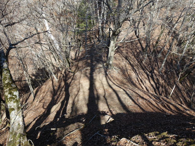 畦ヶ丸(西丹沢ビジターセンター~権現山)登山口コースガイド 1079mピークの鞍部【登山口ナビ】