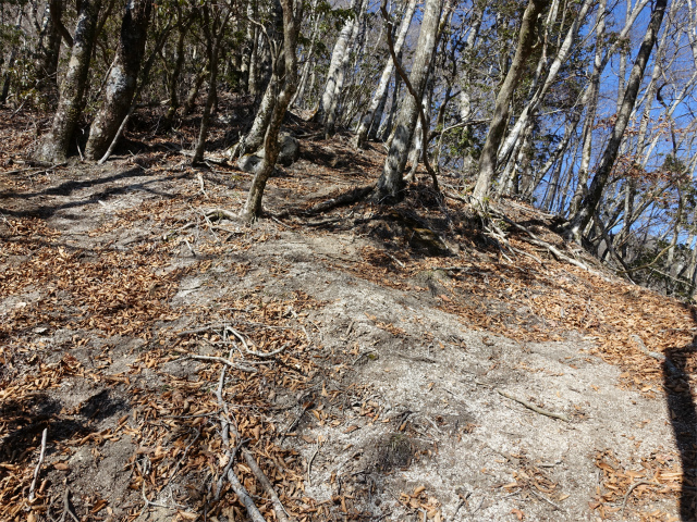 畦ヶ丸(西丹沢ビジターセンター~権現山)登山口コースガイド 急登【登山口ナビ】