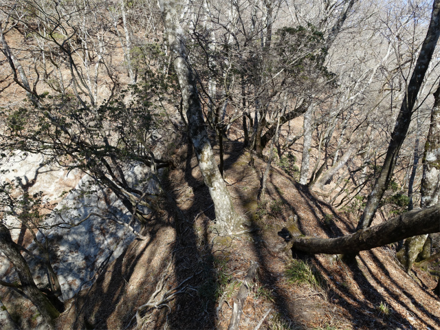 畦ヶ丸(西丹沢ビジターセンター~権現山)登山口コースガイド 痩せた鞍部【登山口ナビ】