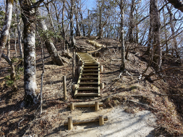 畦ヶ丸(大滝コース)登山口コースガイド 山頂手前【登山口ナビ】