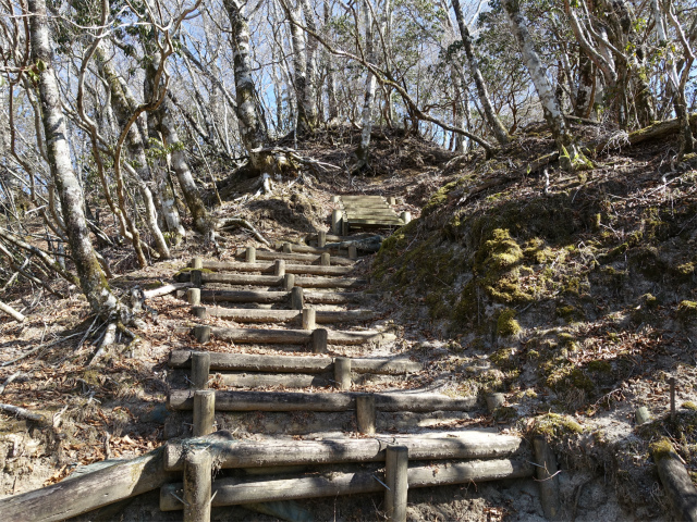 畦ヶ丸(大滝コース)登山口コースガイド 山頂直下の階段【登山口ナビ】