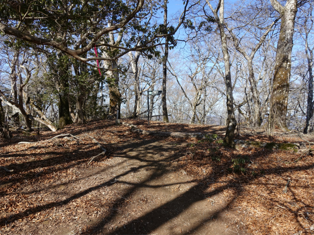 畦ヶ丸(大滝コース)登山口コースガイド 避難小屋0.2kmピーク【登山口ナビ】