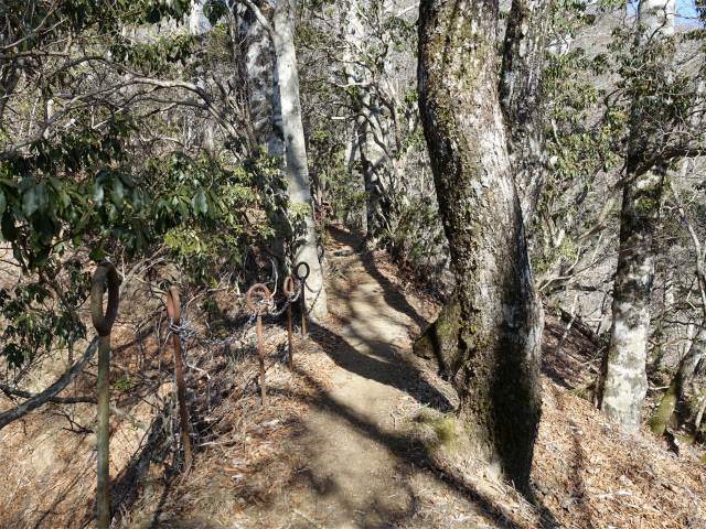 畦ヶ丸(大滝コース)登山口コースガイド 痩せ尾根【登山口ナビ】