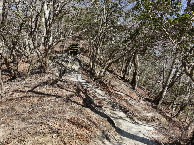 畦ヶ丸(大滝コース)登山口コースガイド 尾根【登山口ナビ】