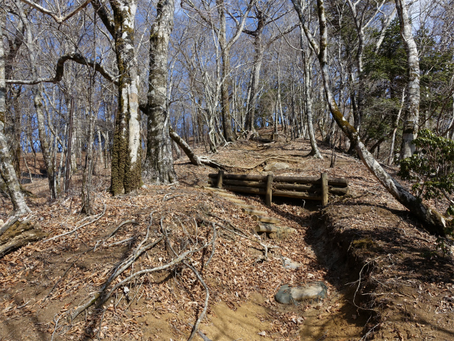 畦ヶ丸(大滝コース)登山口コースガイド 小ピーク【登山口ナビ】