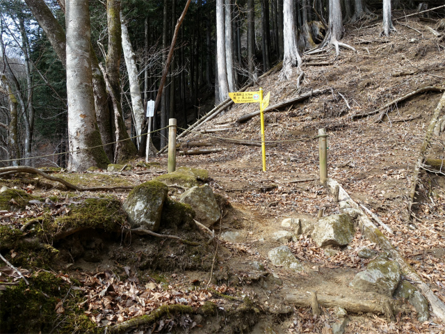 畦ヶ丸(大滝コース)登山口コースガイド 作業経路分岐【登山口ナビ】