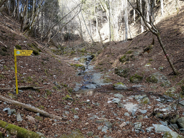 畦ヶ丸(大滝コース)登山口コースガイド 渡渉【登山口ナビ】