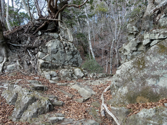 畦ヶ丸(大滝コース)登山口コースガイド 岩の合間【登山口ナビ】