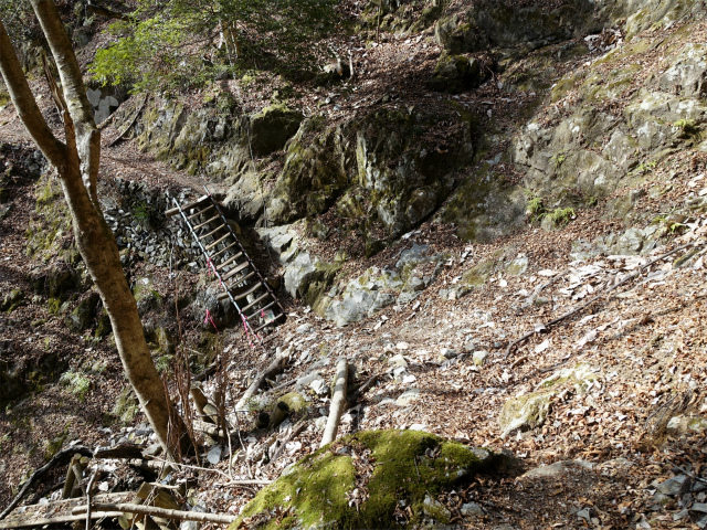 畦ヶ丸(大滝コース)登山口コースガイド トラバースの梯子【登山口ナビ】