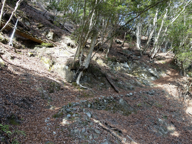 畦ヶ丸(大滝コース)登山口コースガイド 折り返し【登山口ナビ】