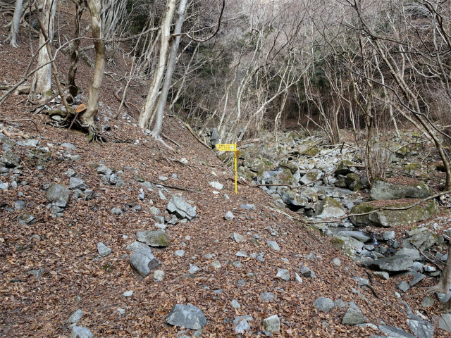 畦ヶ丸(大滝コース)登山口コースガイド 支流【登山口ナビ】