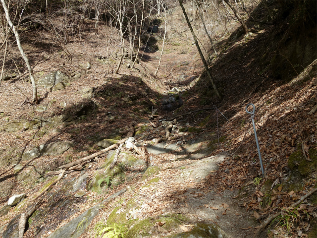 畦ヶ丸(大滝コース)登山口コースガイド 鎖【登山口ナビ】