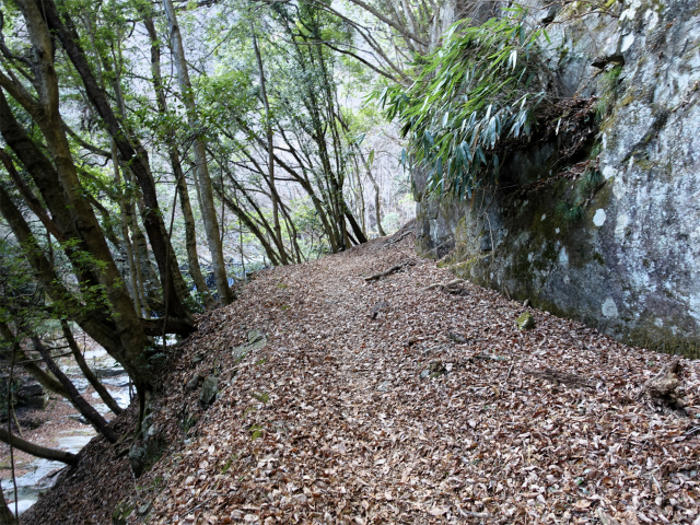 畦ヶ丸(大滝コース)登山口コースガイド 高巻き【登山口ナビ】