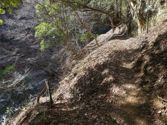 畦ヶ丸(大滝コース)登山口コースガイド 大滝分岐【登山口ナビ】