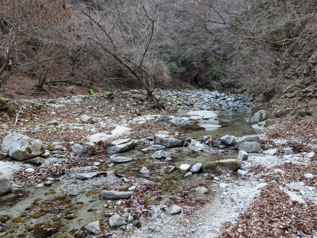 畦ヶ丸(大滝コース)登山口コースガイド 渡渉【登山口ナビ】