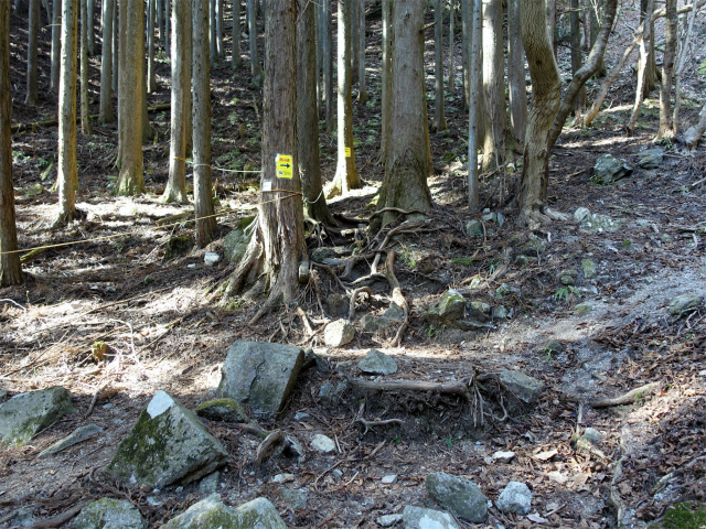 畦ヶ丸(大滝コース)登山口コースガイド 登山道【登山口ナビ】
